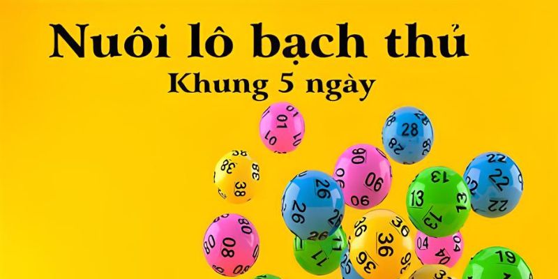 Hướng dẫn cách nuôi khung 5 ngày cho tân binh